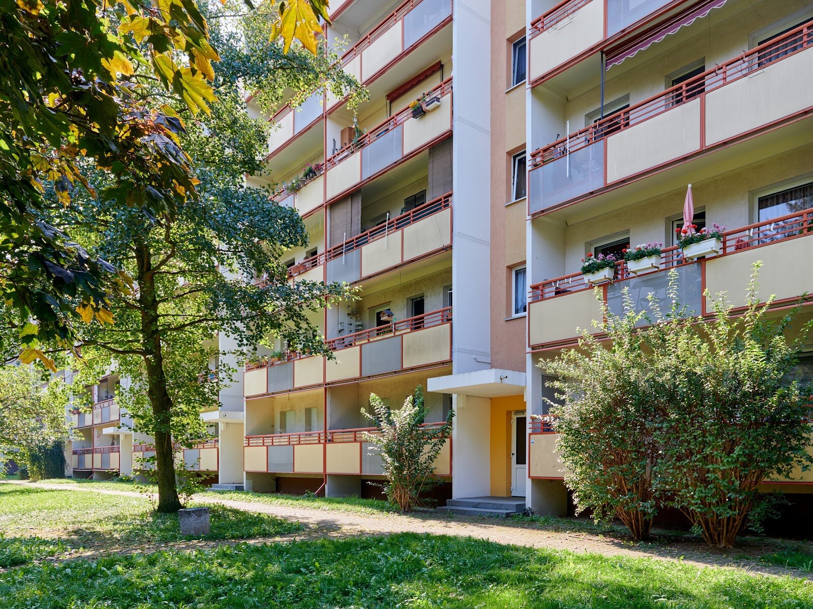 Harthaer Straße 74, 01169 Dresden