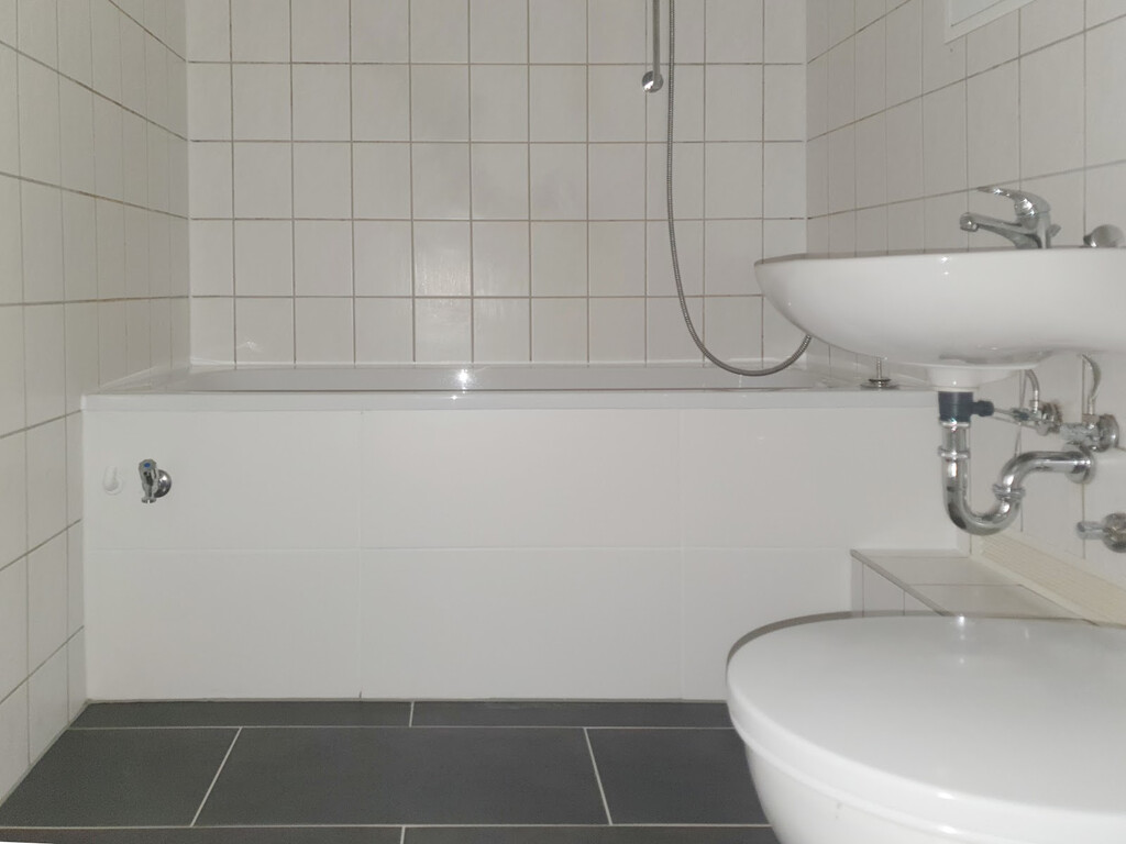 Richard-Paulick-Straße 5, 06124 Halle (Saale)