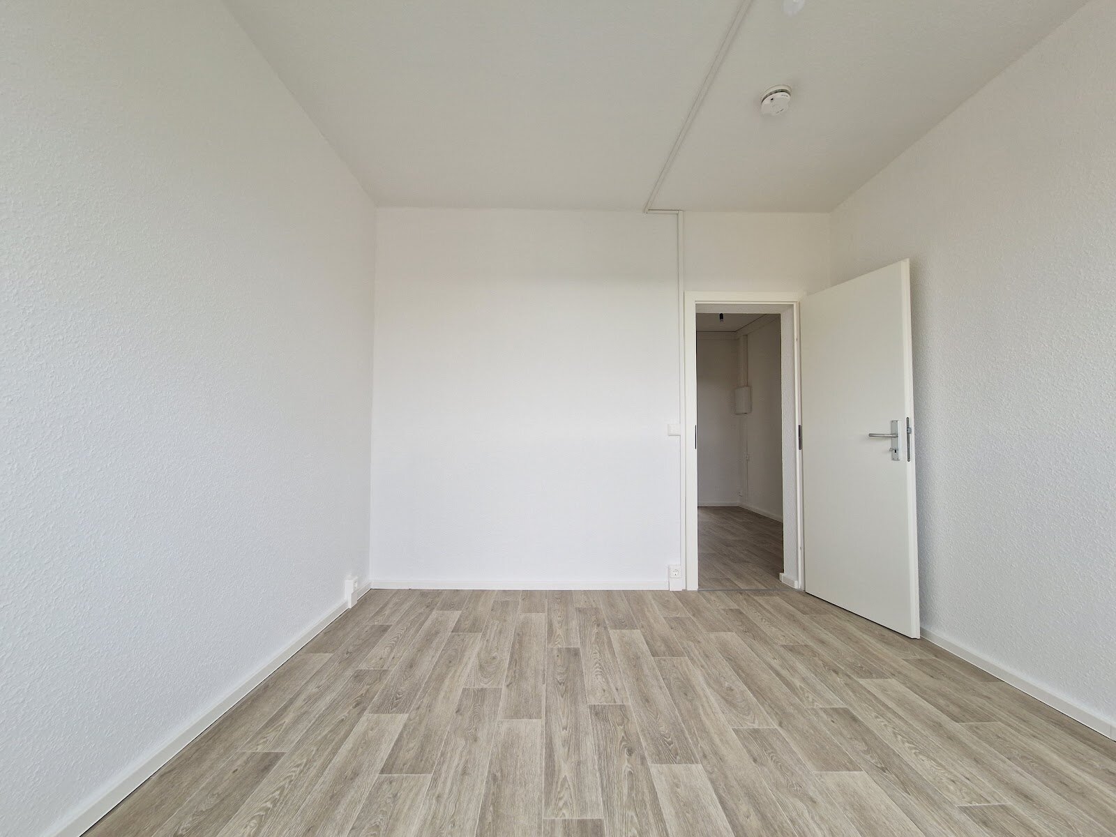 Carl-Schorlemmer-Ring 26, 06122 Halle (Saale)