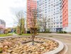 Carl-Schorlemmer-Ring 26, 06122 Halle (Saale)