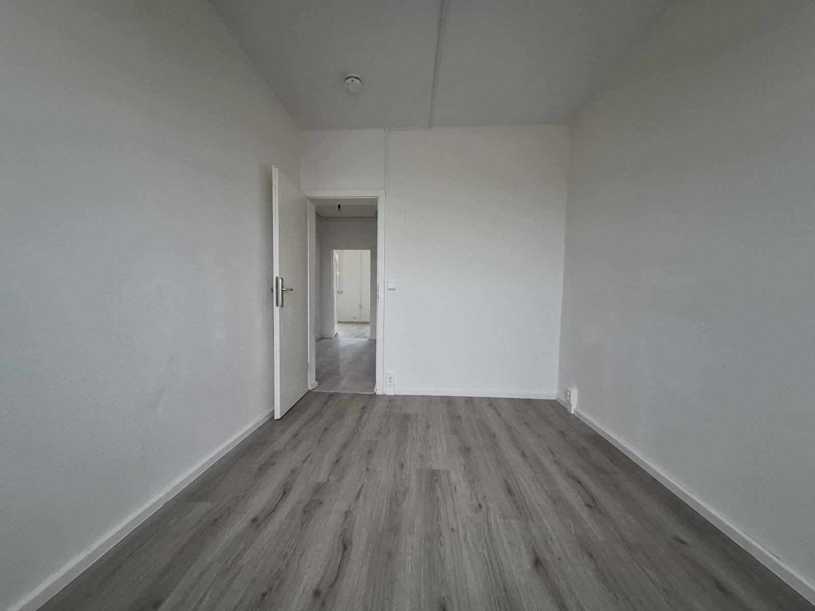 Carl-Schorlemmer-Ring 26, 06122 Halle (Saale)
