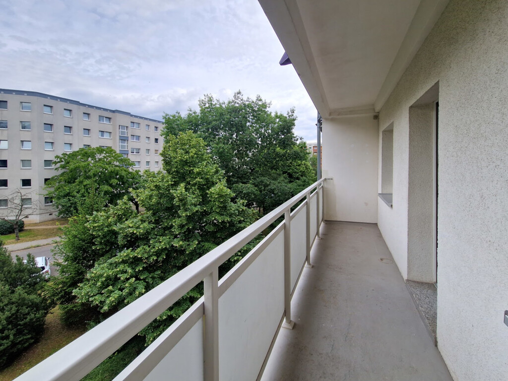 Herzogswalder Straße 15, 01169 Dresden