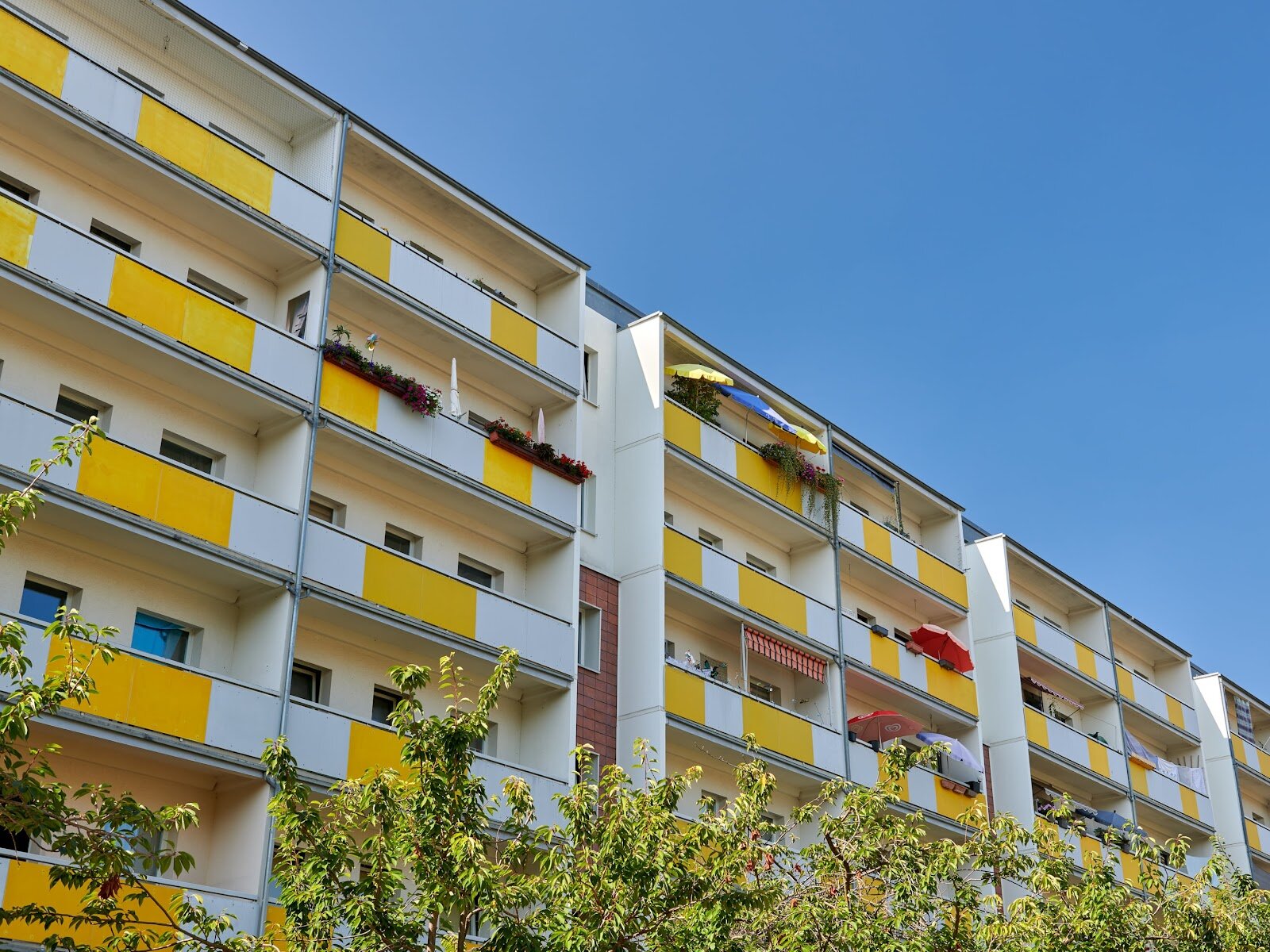 Herzogswalder Straße 14, 01169 Dresden