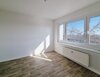 Reuningstraße 5, 01169 Dresden