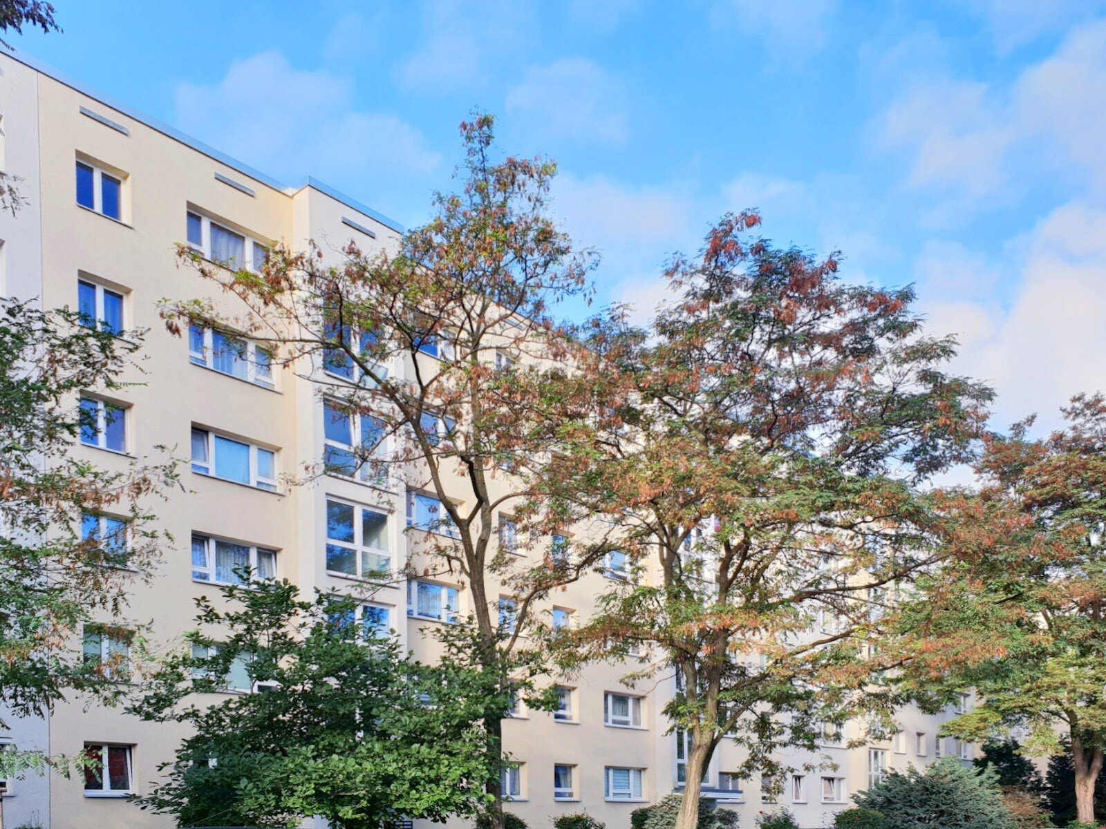 Robinienstraße 5, 01169 Dresden