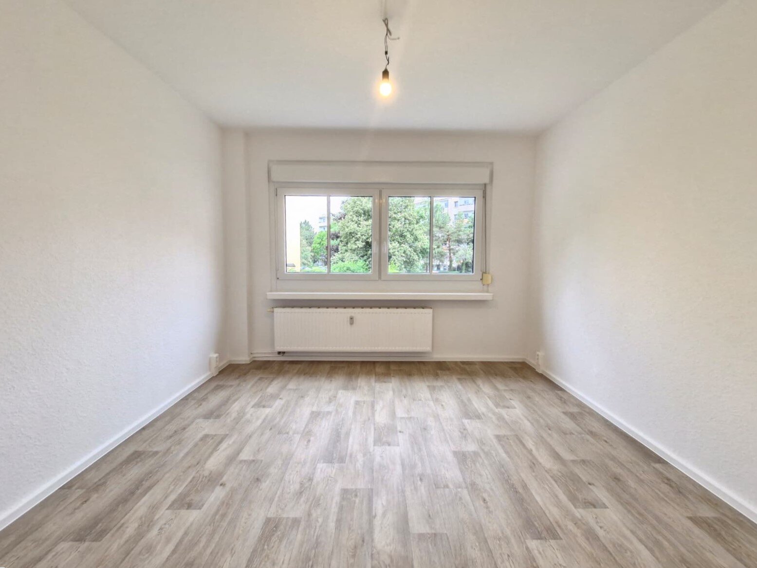 Robinienstraße 18, 01169 Dresden