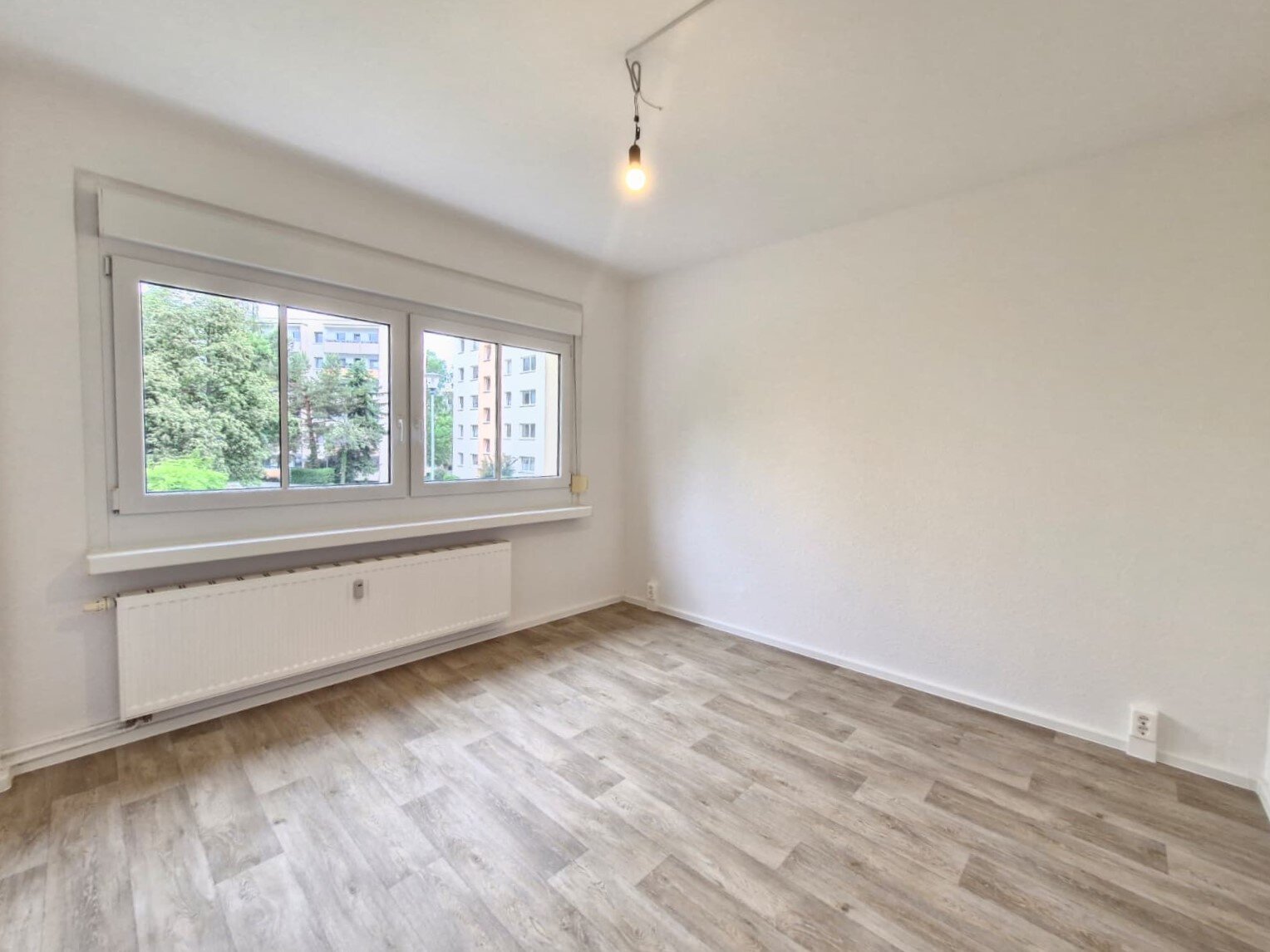 Robinienstraße 18, 01169 Dresden