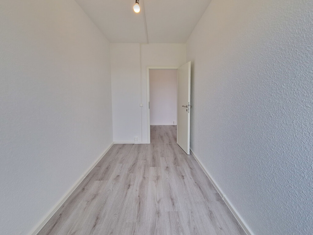 Albert-Köhler-Straße 5, 09122 Chemnitz